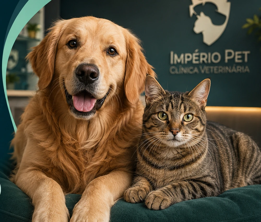 Pets na clínica